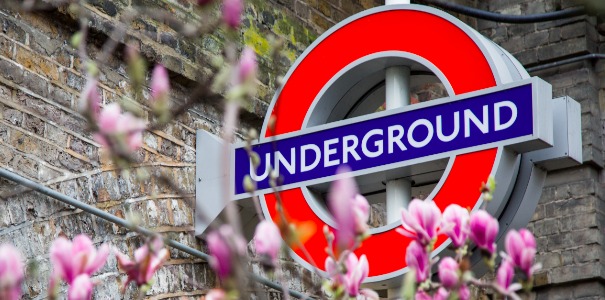 CAPALondon_Banner_03