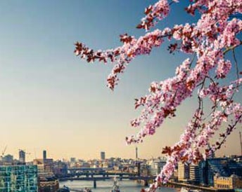 London Spring Thames Crop