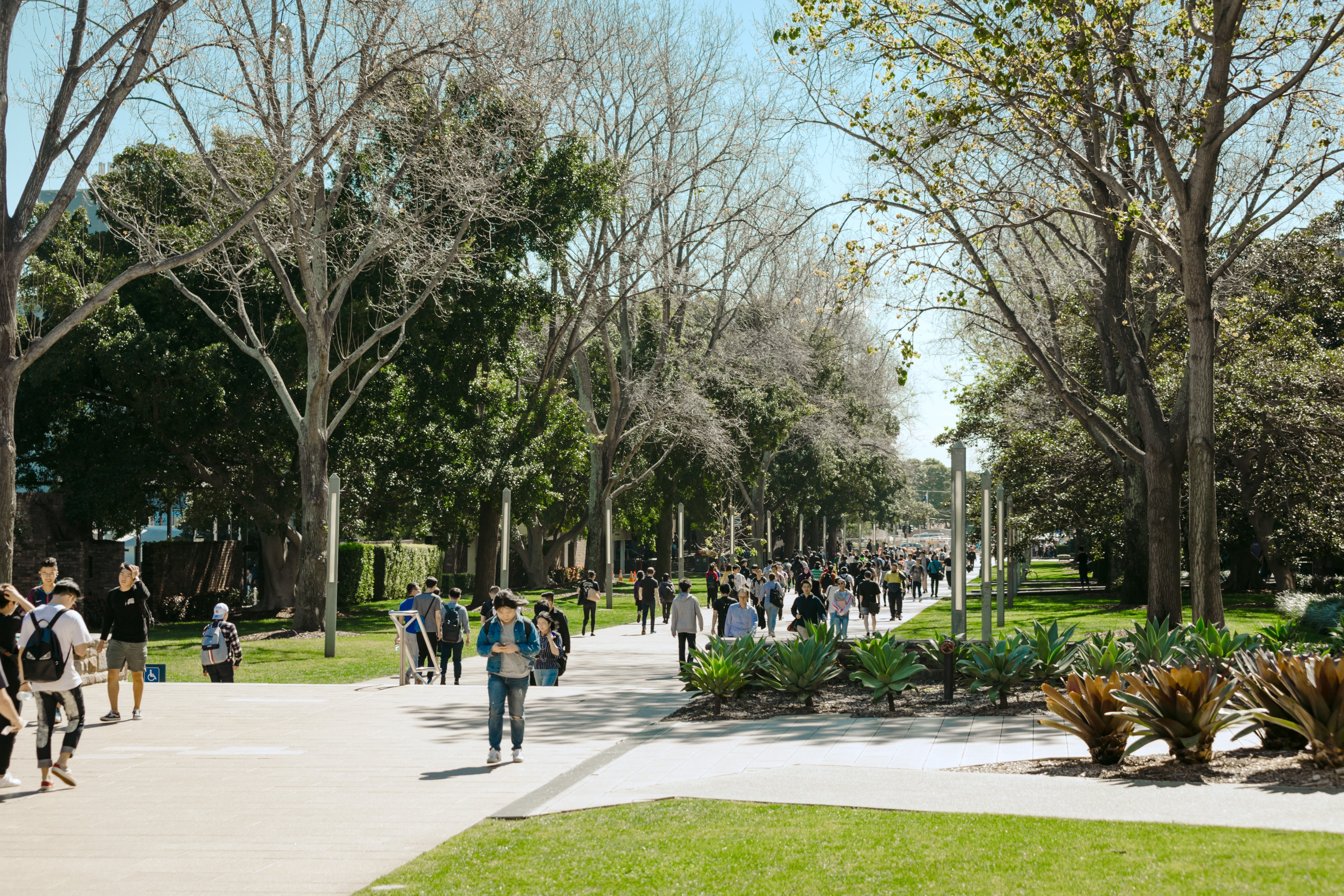 Main Walkway 2