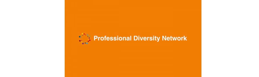 professional-diversity-network-2-3